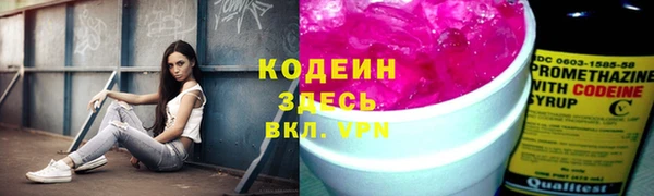 твердый Ельня