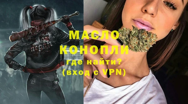 твердый Ельня