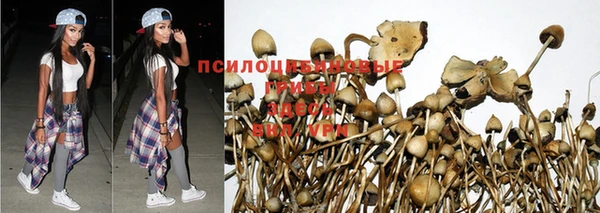гидра Новодвинск
