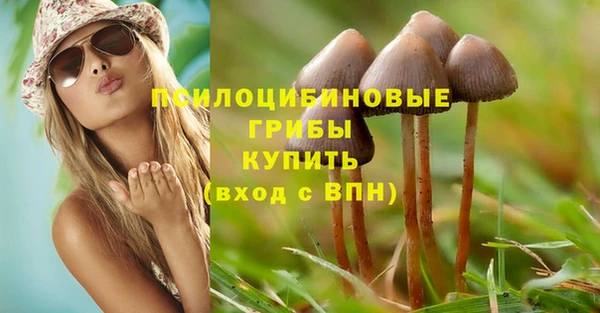 твердый Ельня