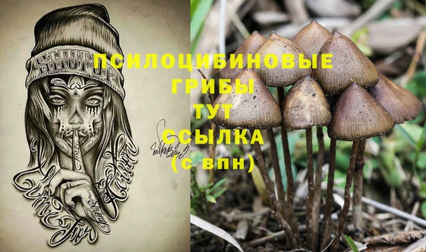 экстази Елабуга