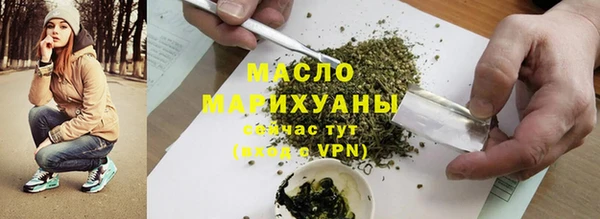 твердый Ельня