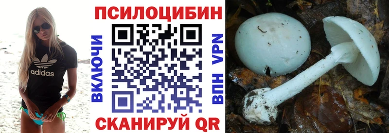 Галлюциногенные грибы Magic Shrooms KRAKEN ONION Северо-Курильск